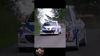 Rallye Régional de la Briance 2024, FAUCHER William / PETIT Thierry, Peugeot 207 S2000