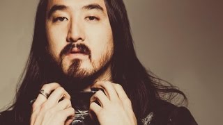 STEVE AOKI ФАКТЫ