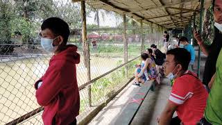 MEMBERI BUAYA MAKAN DI JONG'S CROCODILE FARM AND ZOO - 28/02/2021