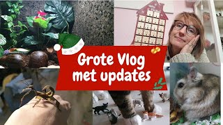 Extra lange update vlog   #22 Zoo-cember