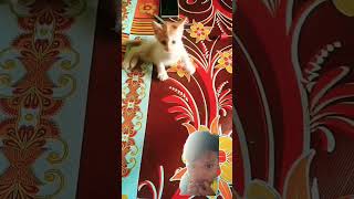 #kucingkita #duniakucinglucu #comedy #funny #catlover #sayangikucing #short