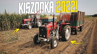 🇵🇱Kiszonka Z Kukurydzy 2022! ☆ Jednorzędówką! ☆ Engine Sound! ☆ Ursus & MF ☆ John Deere 6430 ☆ AW ™