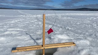 Best of 2023 ice fishing