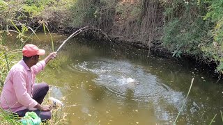 Fish Hunting 🎣 Local Pound Fishing Big Tilapia Fishes to catch in small single Hook