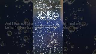 Surah Al-An'am Mishary bin Rashid AAlaafasy I Ayah 80