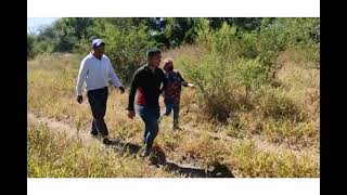 RESCATE Y REHABILITACIÓN DE UN ZORRO GRIS PARA LA REINSERCIÓN EN SU HÁBITAT NATURAL