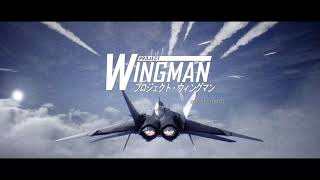 Project Wingman Mission 11: Cold War Mercenary Playthrough