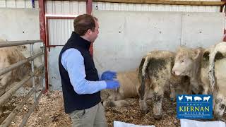 Weanling products at Kiernan Milling