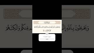 #القرآن_الكريم