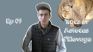 MISE BAS DE LA LAPINE - TAE N°09 │LA FERME DE THÉO