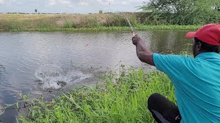 FISHING 🎣 TECHNIQUES in INDIAN SMALL HOOK TO CATCHING IN TILAPIA and BIG CATFISH FISHING