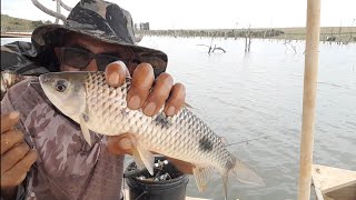 ou peixe fritou ou molinete ou coração foi mil a varinha bebeu água