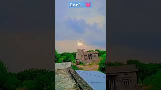 #shortvideo #shortvideo #shortfeed #naturelovers #trending #nature #naturelovers #shortfeed #shorts