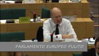 30 NOVEMBRE 2010: PARLAMENTO EUROPEO PULITO IN COMMISSIONE AFFARI COSTITUZIONALI