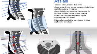 Corso RM FAD 2015 -    cervicale parte 2