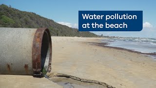 Beach report - causes of water pollution