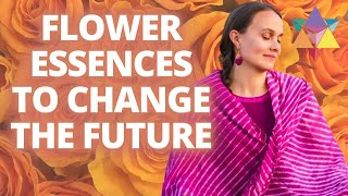 #shorts Flower Essences To Change The Future