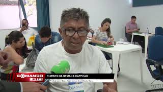 Produtores de Cacau fazem cursos de análise de Cacau