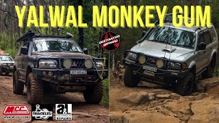 Yalwal Monkey Gum 4wd 4x4 2020