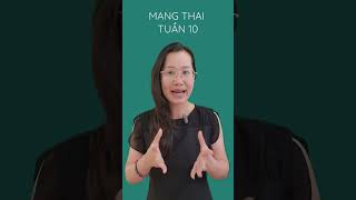 Mang thai tuần 10 | Nhâm Lan Hương