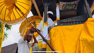 Prosesi Nedunan Ida Betara Nyanggra Piodalan ring Pemerajan Ageng Puri Kaleran Jembrana 26/10/2021