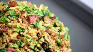 Biriyani Lover