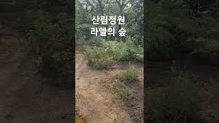 산림정원 라엘의 숲 주차장 텃밭만들기   #nature #토양개량제 #생명나라