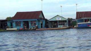 Tonle Sap Lake Mangrove Forest tropical water