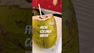 #hawaii #maui #coconut #coconutwater #pleasesubscribe #shorts #beautifulnature