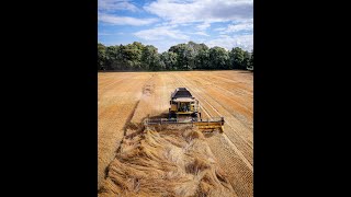 The Scottish Harvest