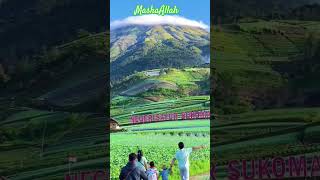 Masha Alloh #gunung #mountains #vlogperjalanan #panorama