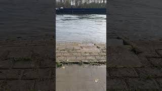 das #schiff Tokko mit einem  Bak  auf Bergfahrt auf dem #rhein Teil 2 #shortsvideo #shorts