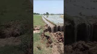 flood in my village