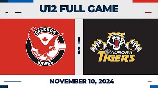 Caledon Hawks vs Aurora Tigers (Black) | U12 - Nov 10 2024