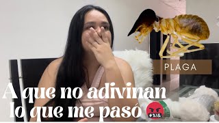 | PERDI una Parte de Mi NAVIDAD a causa de esta Plaga 🤬🤬|