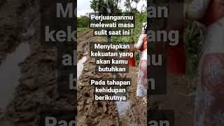 motivasi 3 Februari 2023