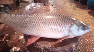 Amazing Rohu Fish Cutting Skills। Fish Cutting Bangladesh