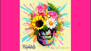 Falling Down Lyrics - Tropidelic ft. Nick Hexum - All the Colors (2022)