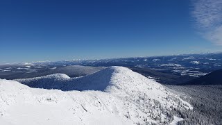 Bluebird powder day at Big White