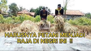 MUSIM PANEN DATANG, KEMBALI KE LADANG, APAKAH PETANI SENANG ⁉️