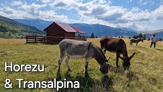 ROMANIA: Horezu traditional ceramics & Transalpina