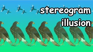 3D stereogram images,magic eye pictures, parallel view