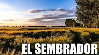 El SEMBRADOR - Parábola de Jesús - Reflexión