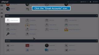 How to use the password generator when creating an email account in cPanel