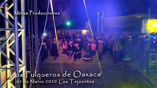 Carnaval Los Tejocotes San Juan Mixtepec 2020 (Baile)