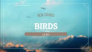 Imagine Dragons - Birds (Tradução/Letra)