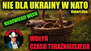 Nie dla Ukrainy w NATO. Niemcy a Polska Armia. Wołyń czasu teraźniejszego. Niedźwiedzie na grzybach.