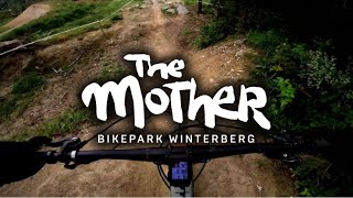 BIKEPARK WINTERBERG | Propain Tyee | 2024 | MTB | #enduromtb #downhill