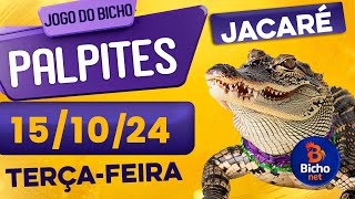 PALPITE DO DIA 15/10/2024 - JOGO DO BICHO 🍀 TODAS AS LOTERIAS 🍀