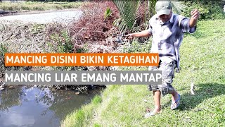 Mancing kalau spot nya seperti ini bikin ketagihan II Mancing di sungai